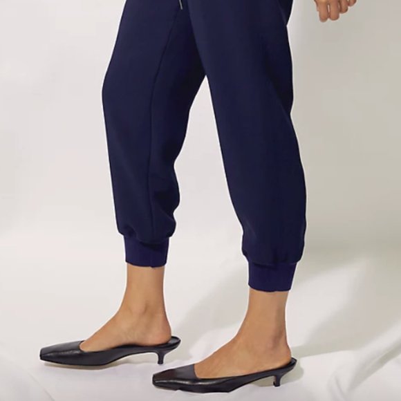 NWT Aritzia Wilfred Buffon Pant in Kinetic - Picture 3 of 3